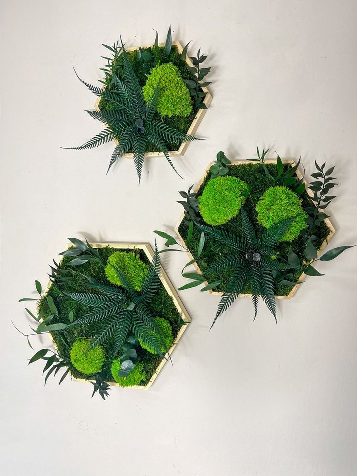 Gedankenwunder Manufaktur Bild Kleine Dschungelblume & Pflanzen Moosbild Hexagon Sechseck Holzrahmen von Gedankenwunder Manufaktur