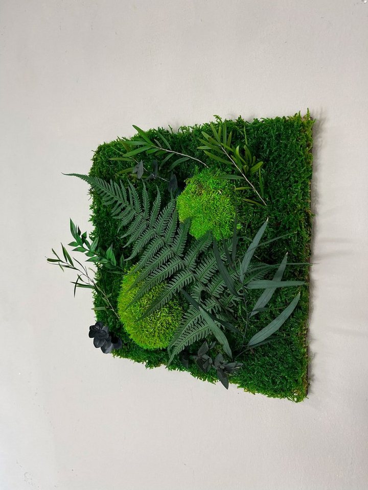 Gedankenwunder Manufaktur Bild Rahmenloses Dschungel Moosbild mit echtem Farnblatt & Pflanzen von Gedankenwunder Manufaktur