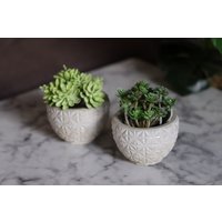 2-Set Ornament Pflanztopf Klein von GedankenwunderDecor