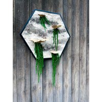 Birkenbild Mit Baumpilzen & Ranken Hexagon Sechseck Rahmen von GedankenwunderDecor