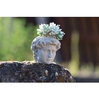 David Stabile Kopf Pflanzbüste Aus Grauem Beton David Stabile Kopf Pflanzbüste Aus Grauem Beton von GedankenwunderDecor