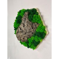 Holzmoos Holz Mittig Islandmoos Moosbild Hexagon Rahmen von GedankenwunderDecor