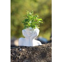 Pflanzen Im Kopf Stabile Pflanzbüste Aus Beton in Weiß Pflanzen Im Kopf Stabile Pflanzbüste Aus Beton in Weiß von GedankenwunderDecor