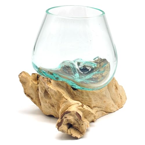 Wurzel mit Glasvase Rund Ø ca.11-12 cm Glas Kugelvase Vase auf Holz Wurzelholz (Wurzel 10-14 cm) Braun von Gedeko
