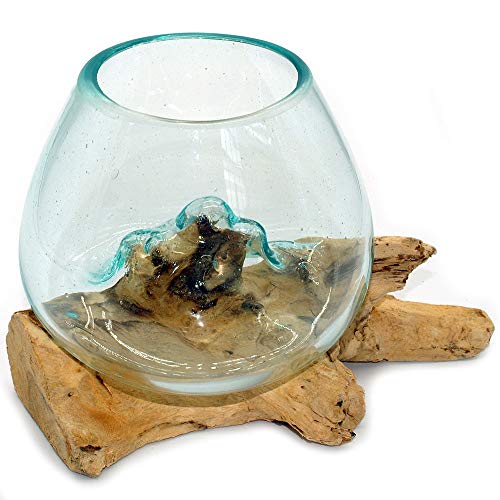 Wurzel mit Glasvase Rund Ø ca.11-12 cm Glas Kugelvase Vase auf Holz Wurzelholz (Wurzel 15-20 cm) Braun von Gedeko