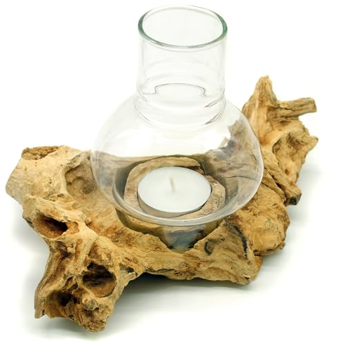 Windlicht Natur Holz Wurzel mit Glas hell Teelichthalter Windlichthalter (12-18 cm) von Gedeko