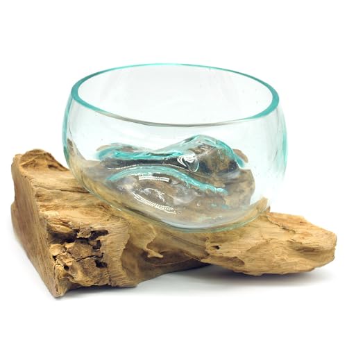 Wurzel mit Glasschale klein Schale Dekoschale Glas auf Holz Durchmesser 12-13 cm Holzdeko Teakholz Deko (Hellbraun) von Gedeko