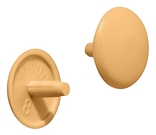 Gedotec Möbel-Abdeckkappen beige RAL 1015 Schrauben-Abdeckungen Kunststoff Schrauben-Kappe rund | H1123 | Verschluss-Stopfen für Kopflochbohrung PZ2 | Ø 12 x 2,5 mm | 20 Stück - Abdeckstopfen rund von Gedotec