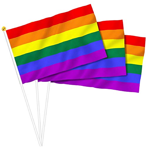 10 Stück Kleine Rainbow Pride Flag Stick 21 x 14 cm – GeeRic 6 Stripes Pride Rainbow Flag LGBTQ2S Rainbow Mini Banner Lebendige Farbe Kleine Regenbogenfahne von GeeRic