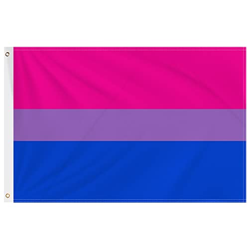 Bi Flagge,Bisexual Flag,GeeRic 150 * 90cm Bisexual Flag LGBTQ2S Pride Month Banner 2 Ösen Lebendige Farbe UV-beständige Flagge für Party/Paraden/Karnevalsdekorationen im Innen- und Außenbereich von GeeRic