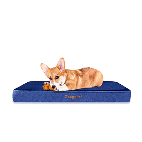Geegoos Mittelgroßes Hundebett,Orthopädisches Hund Kissen und Gedächtnisschaumhundbett mit waschbarer Abdeckung, Hundesofa Bett (73,5 x 45 x 7 cm,Blau) von Geegoos