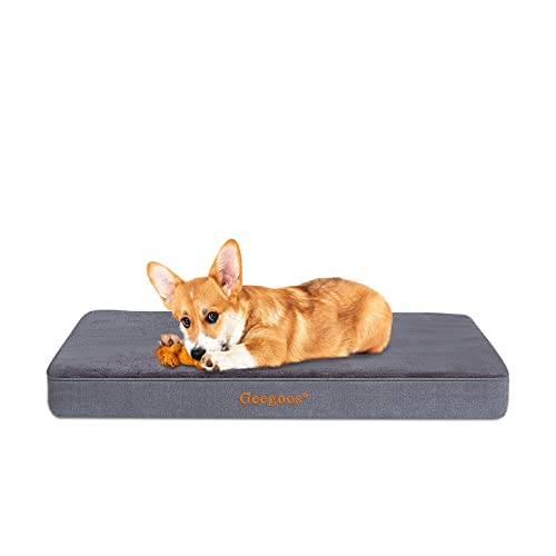 Geegoos Mittelgroßes Hundebett,Orthopädisches Hund Kissen und Gedächtnisschaumhundbett mit waschbarer Abdeckung, Hundesofa Bett (73,5 x 45 x 7 cm,Grau) von Geegoos