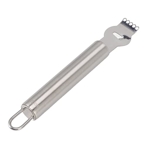 Edelstahl -Zitrusschildschildanstrahlung mit ergonomischem Grip - Zitronenorange Peel -Reifen für die Küchengebrauch (Silber) von Gegong