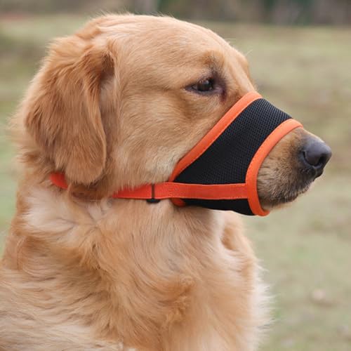 Maulkorb Hunde Nylon Maske Verhindert Beißen Und Fressen Bellen Und Kauen Für Große Hunde Verstellbarer, Für Verbindungsgurt Kleine Mittlere Große Hunde (XL,Orange) von Gehanico