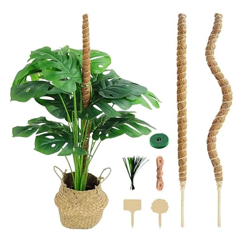 Pflanzenstütze 6 pcs mit Ringhalterund Blumen Stab Ideal für Orchideen Hoch Wachsenden Pflanzen Rankehilfe für Orchideen Pfingstrosen Paprika (Flexibel Geformtes Regal 60cm*3) von Gehanico