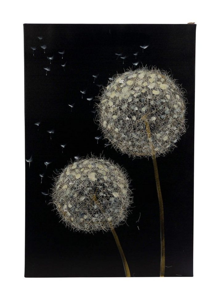 Gehlmann Bild Neu Premium Canvasbild Feder, Pusteblume, Pusteblume von Gehlmann