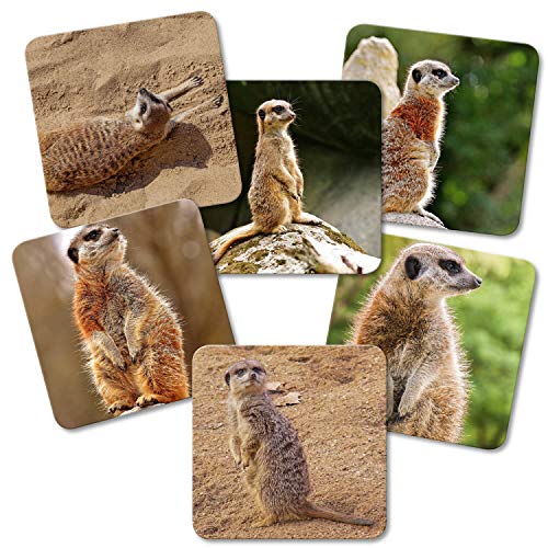 Addies Untersetzer 6er Set 'Erdmännchen' in hochwertiger Klarsicht-Geschenkbox und Korkrückseite - U34 Addies Untersetzer 6er Set 'Erdmännchen' in hochwertiger Klarsicht-Geschenkbox und Korkrückseite - U34 von DK WDDO