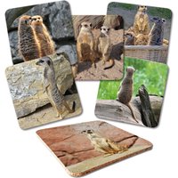 Untersetzer 6-Tlg. Set "Erdmännchen" Mit Korkrückseite - Korkuntersetzer von GeistundGeschenk