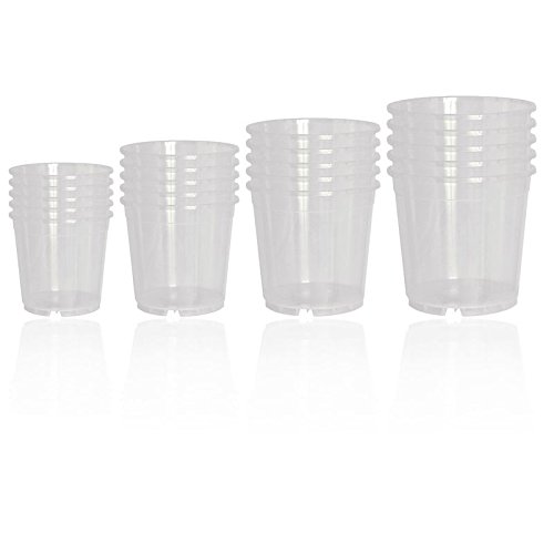 Geli 20er Set Orchideentöpfe Verschiedene Größen transparent klar von Geli