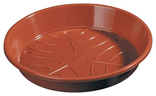 Geli 40er Set Untersetzer Standard 10 cm Sparpaket, Farbe:Terracotta von Geli
