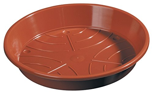 Geli 40er Set Untersetzer Standard 8 cm Sparpaket, Farbe:Terracotta von Geli