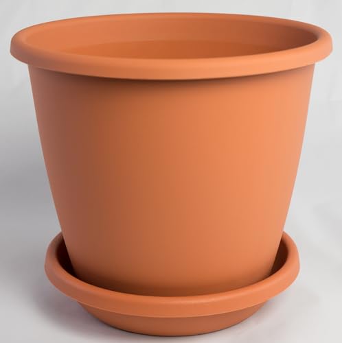 Pflanzkübel Nevada mit passendem Untersetzer in versch. Farben und Größen, Farbe:Terracotta, Durchmesser:20 cm Pflanzkübel Nevada mit passendem Untersetzer in versch. Farben und Größen, Farbe:Terracotta, Durchmesser:20 cm von Geli