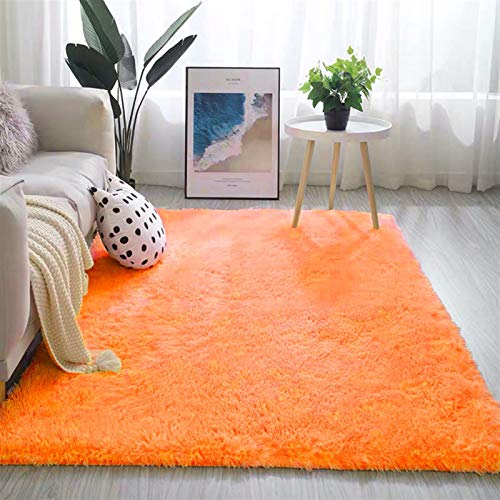 Teppich Fransiger Langflorteppich Kuschelige Haptik Orange 70x140cm 