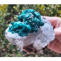 Dioptase Auf Crystal Druse - Seltenes Exemplar, Aaa Qualität Aus Kongo von GemsOfTheLight