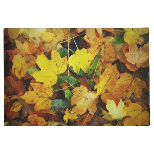 Eingangstürmatte mit Herbstmotiv – Golden Leavesation Entry, rutschfeste Fußmatte, Bodenmatte, Heimdekoration, 16"x24" von Genan Trading