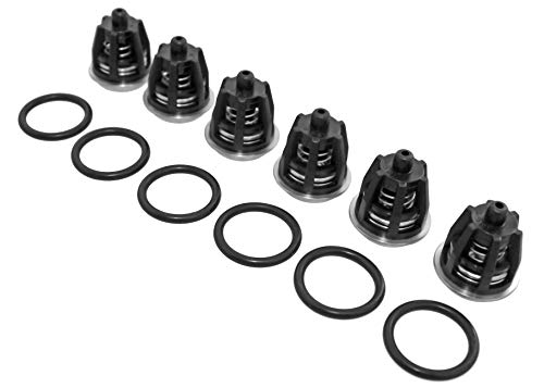 General Pump Pumpe Rückschlagventile Kit 1 K01 Interpump General Pump Pumpe Rückschlagventile Kit 1 K01 Interpump von General Pump