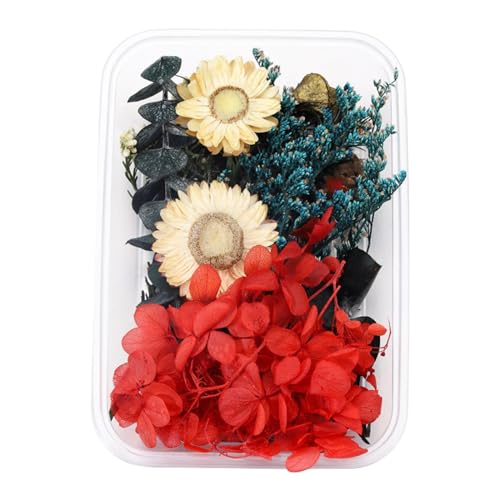 1 Box echte getrocknete Blumenharzfüllungen Expoxy- für Epoxidharz-Schmuckherstellung Handwerk DIY-Zubehör Zubehör (Vergissmeinnicht) Kunstblume (P, One Size) von Generic