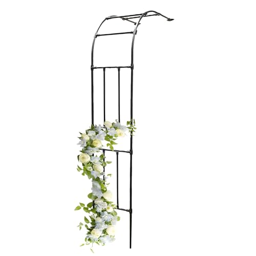 1 Stücke Rankhilfe HalbbogenGartenbogen Für Kletterpflanzen Metall Torbogen Rankhilfe, Halber Garten-Pergola Spalier Gegen Die Wand Geeignet Für Jede Art Von Rankpflanzen(Black,1.2M*2.4m/3.9FT*7.8FT) 1 Stücke Rankhilfe HalbbogenGartenbogen Für Kletterpflanzen Metall Torbogen Rankhilfe, Halber Garten-Pergola Spalier Gegen Die Wand Geeignet Für Jede Art Von Rankpflanzen(Black,1.2M*2.4m/3.9FT*7.8FT) von Generic
