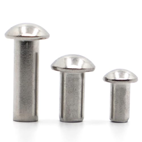 10 Stück 304 Edelstahl Vollnieten Mit Rundkopf M0.8 M1 M1.2 M1.4 M1.6 M2 M2.5 M3 M4 M5 M6 GB867 Legierter Selbstsichernder Niet(8mm,10 PCS_M2.5) von Generic