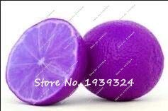 12: regenbogen lemon samen 50 teile/beutel lemon tree seeds bonsai obst samen für hausgarten bonsai blumensamen sementes de frutas : Seeds Only 12: regenbogen lemon samen 50 teile/beutel lemon tree seeds bonsai obst samen für hausgarten bonsai blumensamen sementes de frutas : Seeds Only von Generic