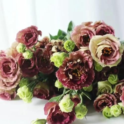 150 pcs Eustoma samen dekoration wohnzimmer saat winterharte pflanzen für garten flower winterfeste pflanzen für garten bienenwiese saatgut gewächshaus balkon blumensamen gastgeschenk von Generic