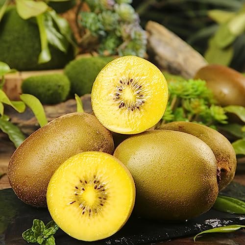 20 pcs kiwi baum samen obst samen winterharte kübelpflanzen kiwibeeren pflanze,Actinidia chinensis, obst frisch saat bio saatgut topfpflanzen draußen winterhart balkonpflanzen winterhart von Generic