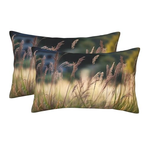 2er Set Atmungsaktiv Sofakissen Bezug Gräseransicht Lustige Kissen Fall 40X60cm Kissenbezug, Auto, Stuhl, Outdoor 2er Set Atmungsaktiv Sofakissen Bezug Gräseransicht Lustige Kissen Fall 40X60cm Kissenbezug, Auto, Stuhl, Outdoor von Generic