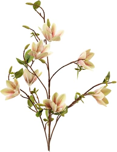 3 Stück 100cm Künstliche Magnolienblumen 7 Kopf Seide Blumenstrauß Mit Langem Stiel Weiß Magnolie Stiel Gefälschte Blumenzweige Für Hohe Vase Home Office Dekor, Light Pink 3 Stück 100cm Künstliche Magnolienblumen 7 Kopf Seide Blumenstrauß Mit Langem Stiel Weiß Magnolie Stiel Gefälschte Blumenzweige Für Hohe Vase Home Office Dekor, Light Pink von Generic