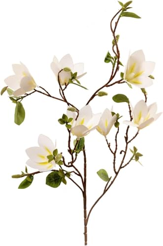 3 Stück 100cm Künstliche Magnolienblumen 7 Kopf Seide Blumenstrauß Mit Langem Stiel Weiß Magnolie Stiel Gefälschte Blumenzweige Für Hohe Vase Home Office Dekor, White von Generic