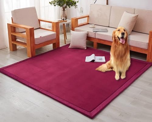 3 cm Dicker Großflächiger Teppich Aus Korallensamt, Weiche, rutschfeste Bodenspielmatte, Krabbelmatte Dick Für Arbeitszimmer, Wohnzimmer, Schlafzimmer, Red, 120 * 200 * 3cm von Generic
