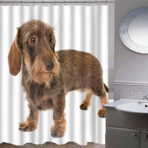 3D Duschvorhang Antischimmel 120x180 cm Dackel Duschvorhang Niedliche Hunde, Wasserdicht Polyester Stoff Textil Duschvorhänge Waschbar Bad Vorhäng für Badzimmer mit 8 Haken f-3432 von Generic