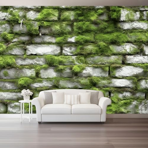 3D Fototapete Vlies Tapete – Natur Moos Steinmauer Moderne Wandtapete Für Wohnzimmer & Schlafzimmer – Wandbilder Xxl Wanddeko – Wanddekoration Grün Grau 350 X 256 Cm 3D Fototapete Vlies Tapete – Natur Moos Steinmauer Moderne Wandtapete Für Wohnzimmer & Schlafzimmer – Wandbilder Xxl Wanddeko – Wanddekoration Grün Grau 350 X 256 Cm von Generic