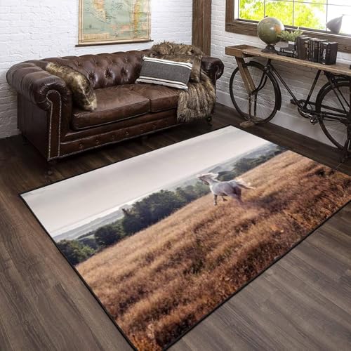 3D Modern Tierpferd Kinder Jungen Teppich Schlafzimmer Kinderzimmer Wohnzimmer Matten Weichem Flanell Kinderteppiche 140 X 200 cm - Leicht Zu Reinigen /6040401314063 3D Modern Tierpferd Kinder Jungen Teppich Schlafzimmer Kinderzimmer Wohnzimmer Matten Weichem Flanell Kinderteppiche 140 X 200 cm - Leicht Zu Reinigen /6040401314063 von Generic