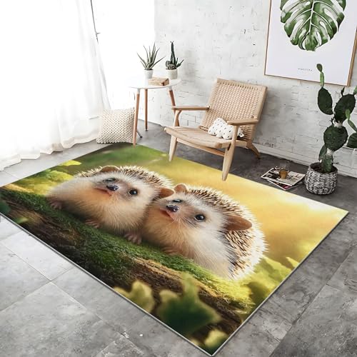 3D Teppich Wohnzimmer Kurzflor Farbe Heimdekoration Innenbereich Teppichboden, Niedlich Tiere Igel Superfeiner Kaschmir rutschfest Teppiche für Schlafzimmer 100 x 150 cm 3D Teppich Wohnzimmer Kurzflor Farbe Heimdekoration Innenbereich Teppichboden, Niedlich Tiere Igel Superfeiner Kaschmir rutschfest Teppiche für Schlafzimmer 100 x 150 cm von Generic