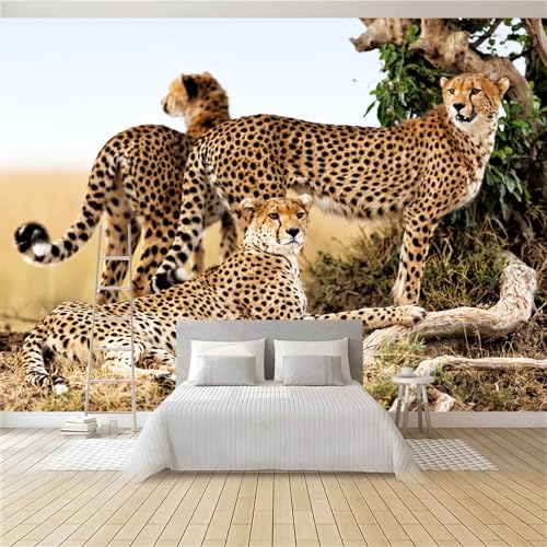 3D Vliestapete Tier Gepard 350 x 256 cm Fototapete, Wanddeko, Wandbild, Wandtapete, Vlies Tapete, Wohnzimmer Schlafzimmer Büro Flur Wand Dekoration von Generic