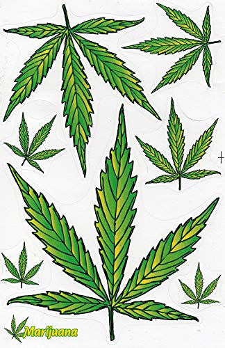 5 x Aufkleber Sticker selbstklebend Hanf Marihuana Cannabis Blätter grün 1 Bogen 27x18 cm 10.6x7.1 inch für Roller Motorrad Auto Skateboard Snowboard und mehr! Perfekt für Motorsport-Enthusiasten von Generic