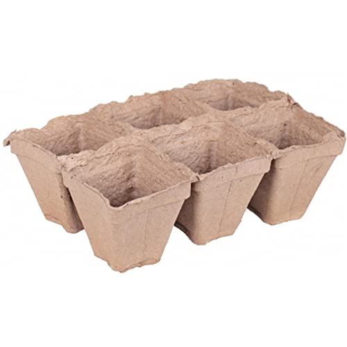 6 Pcs Brown Peat Pots of Width 11 cm and Height of 11cm:Seeds Only 6 Pcs Brown Peat Pots of Width 11 cm and Height of 11cm:Seeds Only von Generic