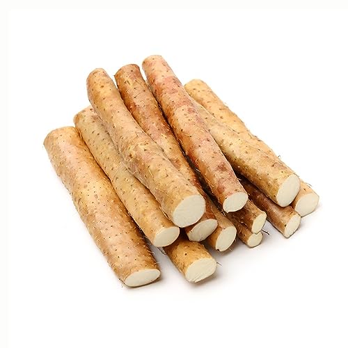 60 pcs Yamswurzel bio samen - herbs saat winterharte stauden mehrjährig Yam,Yams,Dioscorea opposita, heilkräuter samen pflanzenkübel dekoration zimmerpflanzen wenig lichtbedarf von Generic