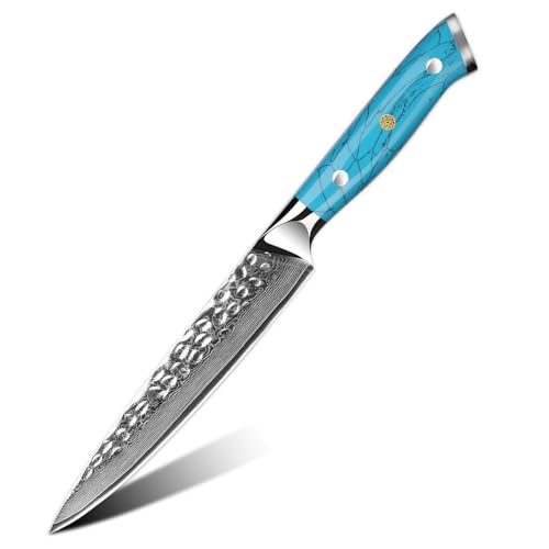 67-lagiges Damastmesser-Set VG10 Professionelle Küchenwerkzeuge Kochkoch Exquisiter künstlicher blau-türkisfarbener Griff(Gold) von Generic