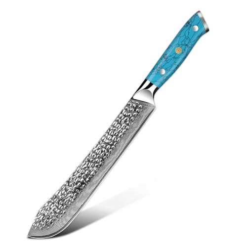 67-lagiges Damastmesser-Set VG10 Professionelle Küchenwerkzeuge Kochkoch Exquisiter künstlicher blau-türkisfarbener Griff(Pink) von Generic